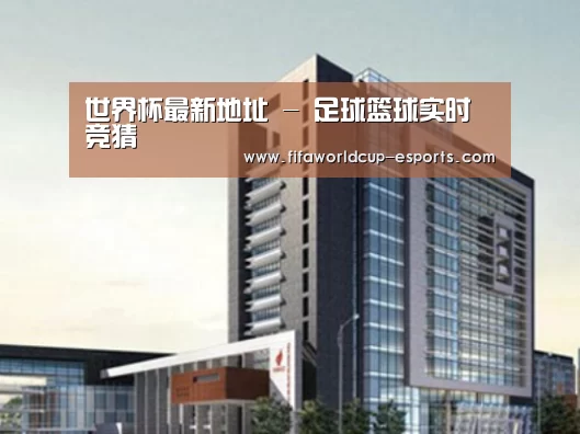 世界杯最新地址案例展示四