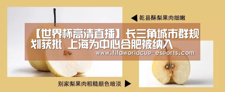 【世界杯高清直播】长三角城市群规划获批 上海为中心合肥被纳入(图1) 世界杯高清直播