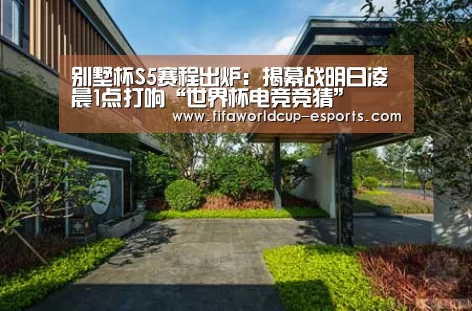 世界杯高清直播
