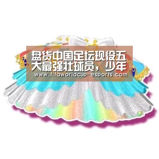 盘货中国足坛现役五大最强壮球员,少年老成,张琳芃只能排第三“世界杯高清直播”(图1) 世界杯高清直播