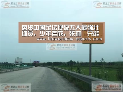 盘货中国足坛现役五大最强壮球员,少年老成,张琳芃只能排第三“世界杯高清直播”(图2) 世界杯最新地址