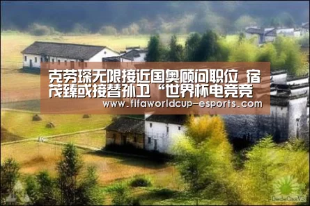 世界杯体育平台
