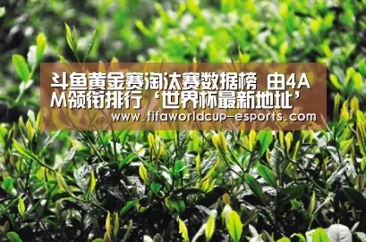 世界杯最新地址