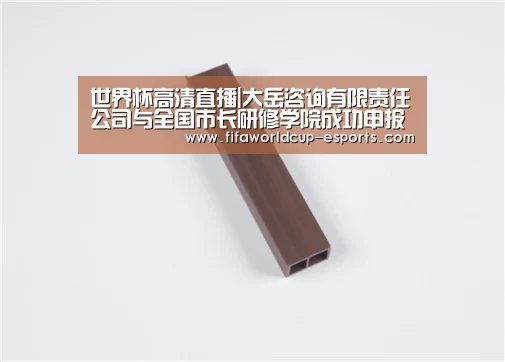 世界杯高清直播