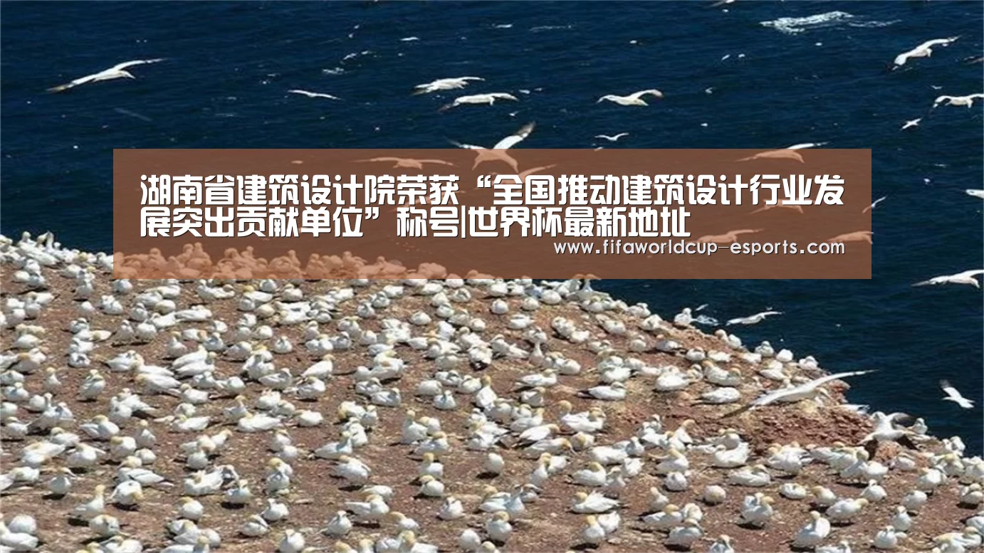 湖南省建筑设计院荣获“全国推动建筑设计行业发展突出贡献单位”称号|世界杯最新地址(图2) 世界杯体育平台