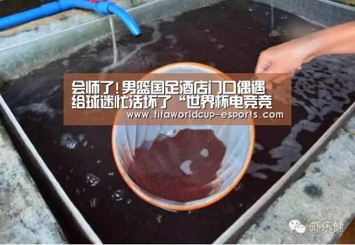 会师了!男篮国足酒店门口偶遇 给球迷忙活坏了“世界杯电竞竞猜”(图1) 世界杯体育平台
