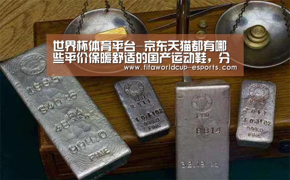 世界杯体育平台-京东天猫都有哪些平价保暖舒适的国产运动鞋,分享我的清单(图2) 世界杯最新地址