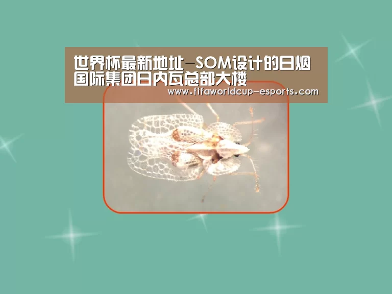 世界杯最新地址-SOM设计的日烟国际集团日内瓦总部大楼(图3) 世界杯高清直播